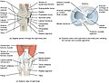 Thumbnail for version as of 10:06, 13 December 2013