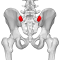 Thumbnail for version as of 09:25, 12 February 2015